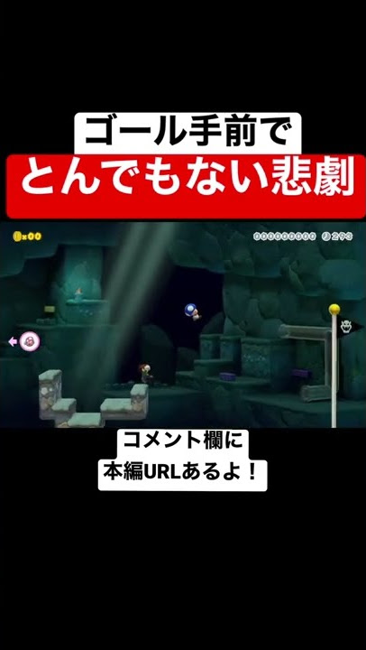 ゴール手前でとんでもない悲劇起きた… 【マリメ2/マリオメーカー2】