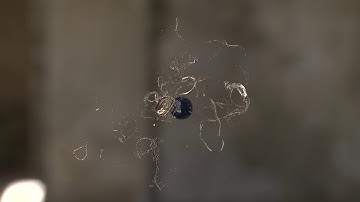 Blender Metaballs Particle Simulation