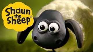 Timmy in a Tizzy | Shaun the Sheep | S1 Full Episodes