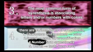 Synesthesia psychology project 2