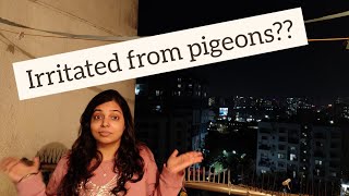 Pigeon Problems- Get rid of pigeons in balcony? Prevent pigeons from sitting on cloths drying wire