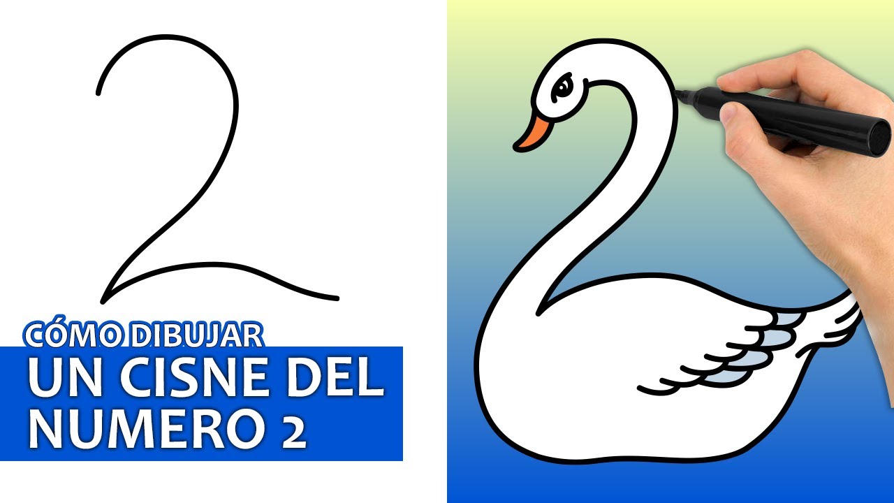 Cómo Dibujar Un Cisne Del Número 2 | Tutorial De Dibujo Fácil - thptnganamst.edu.vn
