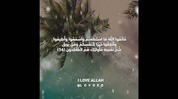 سورة التغابن ياسر الدوسري الايه 15الي 18 - سورة التغابن -  القران الكريم بصوت  ياسر الدوسري