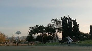 Popturtle - Spiral (Official Video)