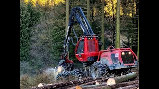 🌲Komatsu 931 *in big trees* • Harvester im Einsatz • Forstbetrieb D. Wiese • Part-1🌲