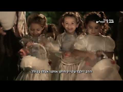 וִידֵאוֹ: חתולים מקסימים בפורטרטים בסגנון ואן גוך, פיקאסו ואמנים מפורסמים אחרים