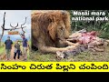 Masai mara national park | part 4 | Uma Telugu Traveller