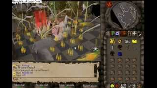 The Best silab server