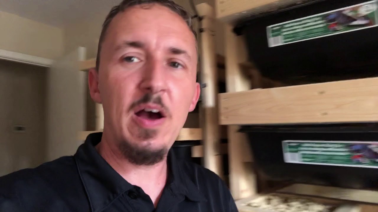 videocon care centre Ball Python & Rat Update Daily Vlogg #120