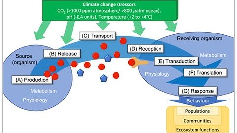 How Climate Change Disrupts Chemical Communication between Species and Disrupts Entire Ecosystems