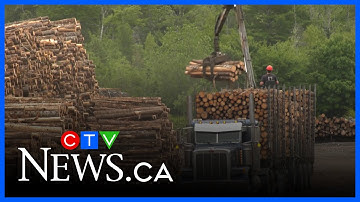 31 wildfires burning in New Brunswick