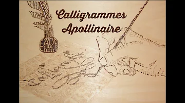 Quelle est la particularité du recueil Calligrammes ?