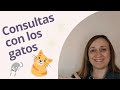 ¿En que te puedo ayudar? ¿Cómo es una consulta conmigo?