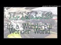 LM.C 「It&#39;s a Wonderful Wonder World」 歌ってみた