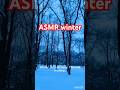 Winter days #asmr #winter #season #snow #magic