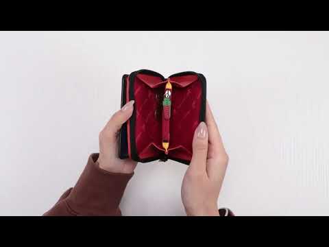 Гаманець жіночий шкіряний Visconti LV6 BK MULTI, видео 1