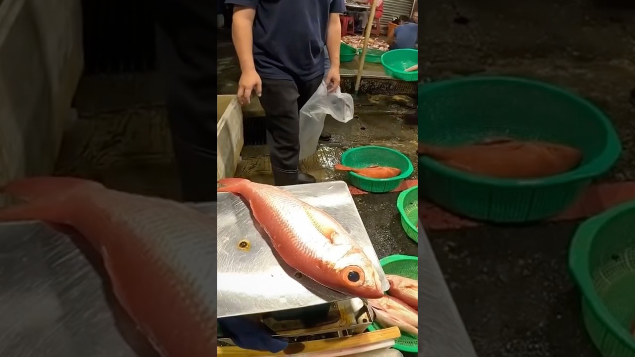 好吃的小鳥鳥~長尾鳥、大目鰱拍賣!基隆崁仔頂(JJ Family買魚日記) 縮圖
