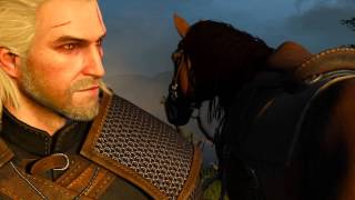 The Witcher 3 Wild Hunt [GTX 765M]