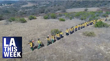 The Voices for the Los Angeles Fire Department