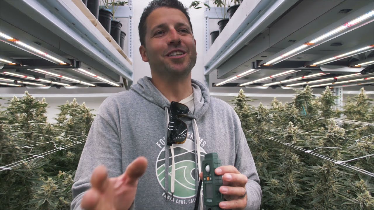The Ultimate Cultivation Airflow Test  | Vertical Air Solutions