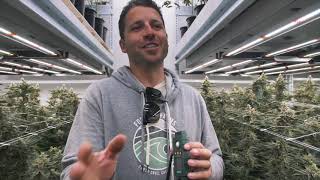The Ultimate Cultivation Airflow Test  | Vertical Air Solutions