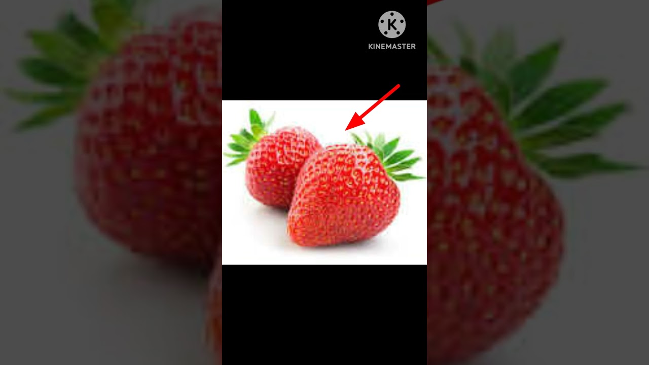 strawberry elephant 🐘🍓