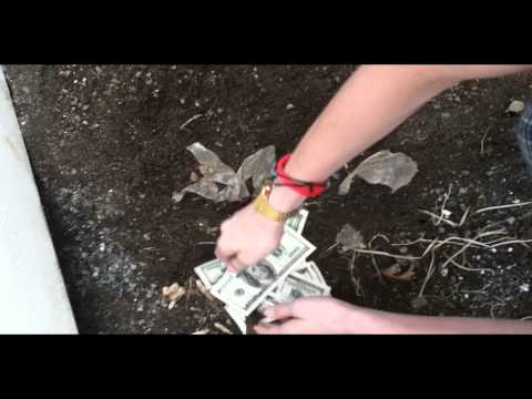 Burning 1000 dollars