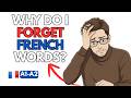 Memorizing French Vocabulary | French Podcast For Beginners | French Comprehensible Input EP 05