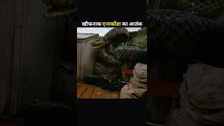 खौफनाक एनाकोंडा का आतंक 😱 | short movie explained in hindi | #movieexplained #movieexplainedinhindi