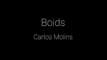 Boids Simulation