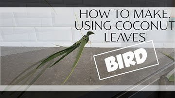 Coconut Leaves - How to make a Bird