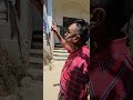 الحديد زي الاعصاب في جسم الانسان من غير يحدث شلل