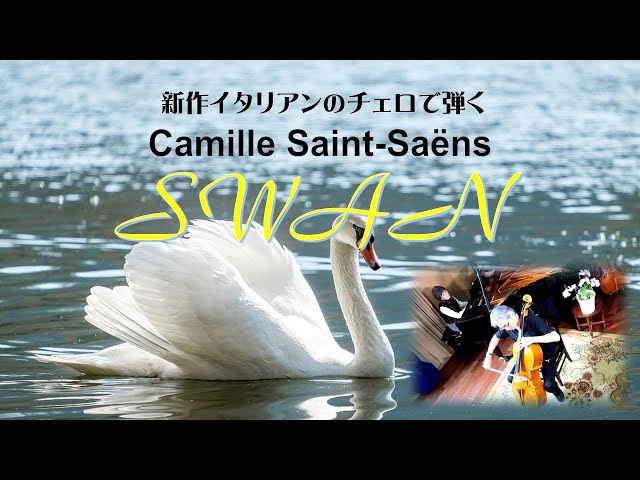 サンサーンス「白鳥」 Cello:Masatoshi Maeda : Piano :Kyoko Maeda