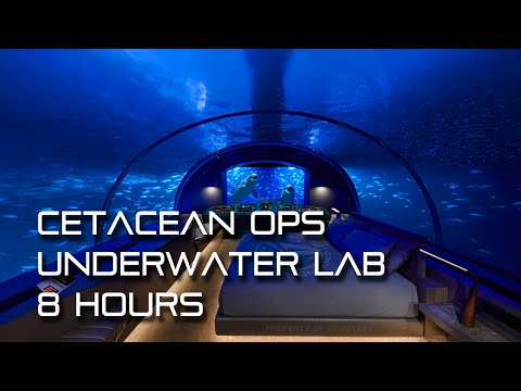 🎧 TNG Cetacean Ops 🐬 Underwater Lab Ambience (whales, water sounds, white noise)