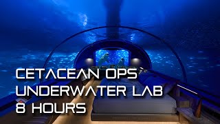 🎧 TNG Cetacean Ops 🐬 Underwater Lab Ambience (whales, water sounds, white noise)