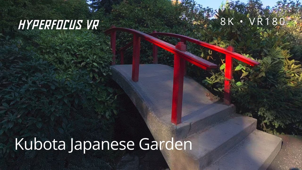 Seattle's Hidden Zen: A Calming 8K VR180 Journey Through Kubota Garden
