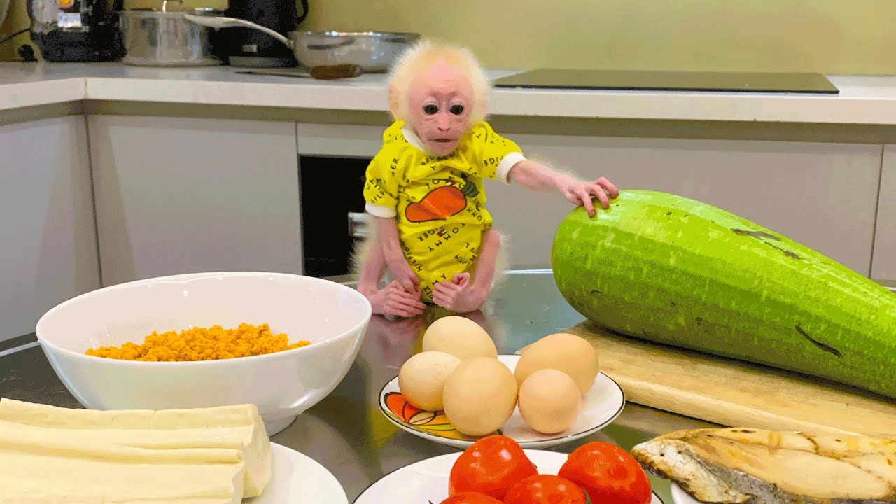 Bibi monkey enjoys cooking with Dad YouTube