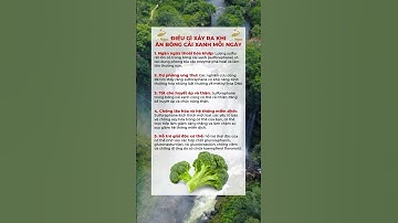 Điều gì xảy ra khi ăn bông cải xanh mỗi ngày | Dr Ngọc #short #shorts #drngoc