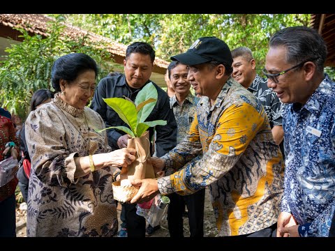 Berkunjung ke Wanagama, Megawati Diberi Tanaman Jatimega
