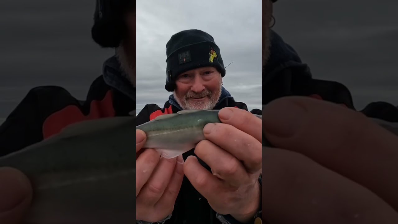 Fishing trip to Collieston harbour: FISHnTHINGS 🎣