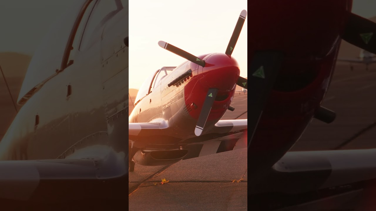 I Got To Fly Scalewings SW-51... #automobile #helpmemakethismakesense #aviation #flying