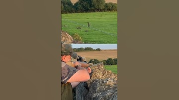 30Yard Rabbit Head Shot .22 Air rifle #hunting #airrifleshooting