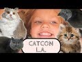 Catcon LA 2017 VLOG - Cats and Cat Accessories - Rachel Ray&#39;s Catcon in Los Angeles