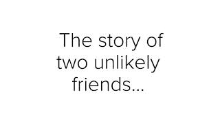 Pit Bull And Bunny Best Friends