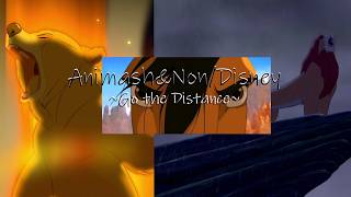 Animash&Nondisney Go The Distance