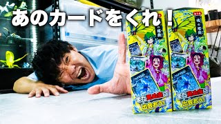 I want that card from the 6th Insect Sacred Treasure set!!! - YouTube