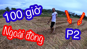 100h Tìm Kiếm Thức Ăn Ngoài Đồng - Thánh Sợ Rắn Camera Chạy Mất Dép |  Son Duoc Vlogs