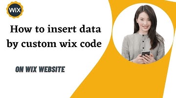 Wix Velo-How To Insert data by custom wix code/ Wix Velo Class