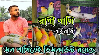 প্রতিটি পাখিতেই ডিসকাউন্ট আছে||এখন কম দামে ভালো পাখি|| রাগী পাখি এভিয়ারী ২৫.০৯.২৩