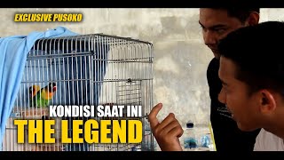 The LEGEND of PUSOKO